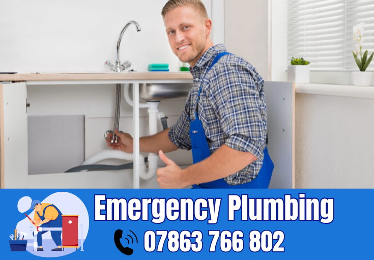  plumber Rushgreen