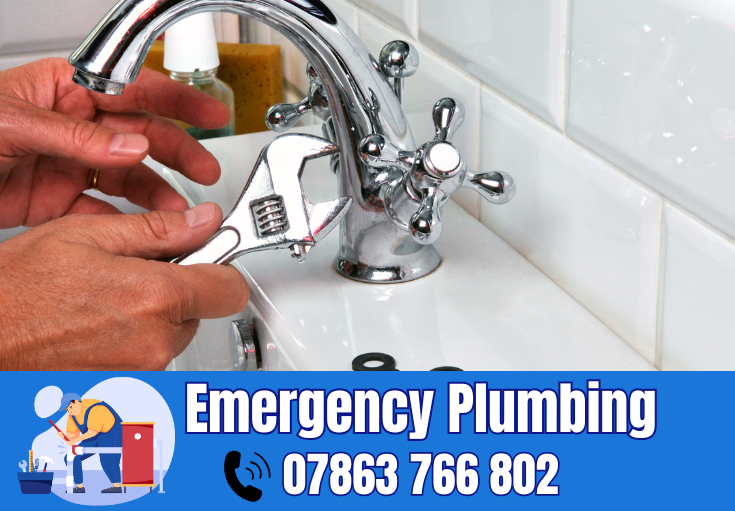  plumber Statham